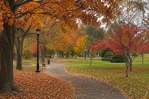 BUYING A HOME IN MINNEAPOLIS THIS FALL: WHAT CHANGES AFTER LABOR DAY?